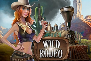 Арт слота Wild Rodeo